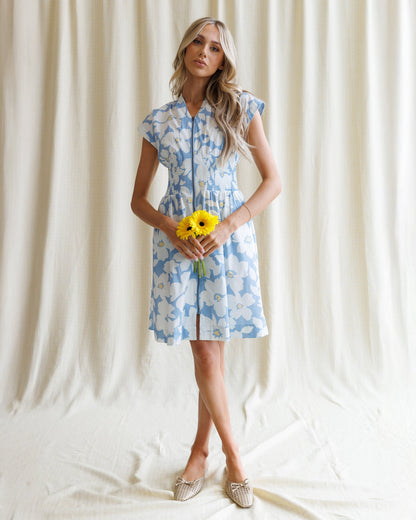 Bon Voyage Dress