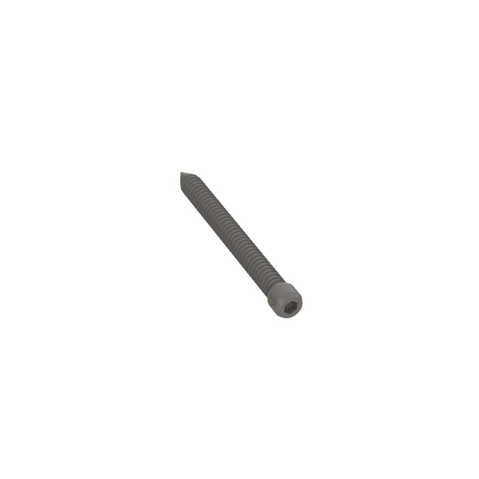 NeoTimber Coloured Composite Decking Screws – Antique - Angled Close Up