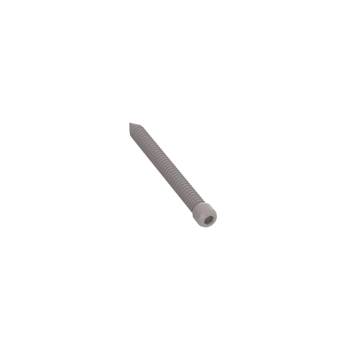 NeoTimber Coloured Composite Decking Screws – Ash White - Angled Close Up