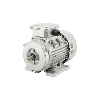 Motorelli 0.37kW Single-Phase Motor Medium Speed For Sale