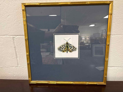 'Pastel Moths I S/3 A' Wall Decor