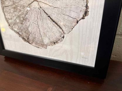 "Woodland Years I"